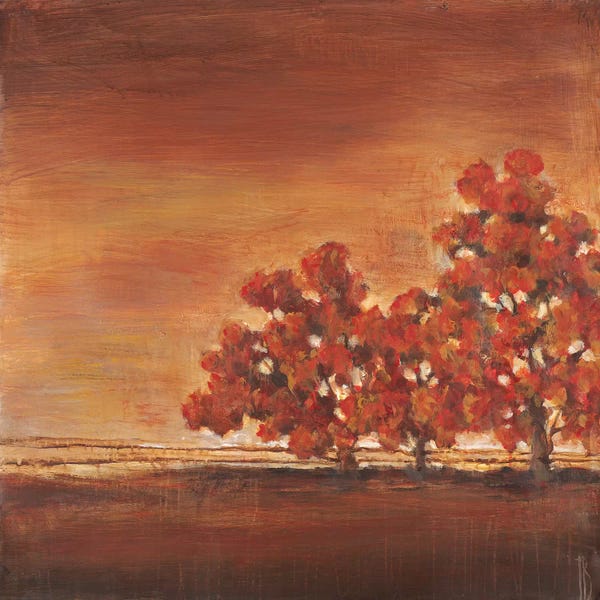 Terri Burris: Cambria by Terri Burris