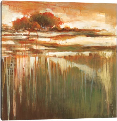 Cambria Fields I Canvas Art Print - Terri Burris