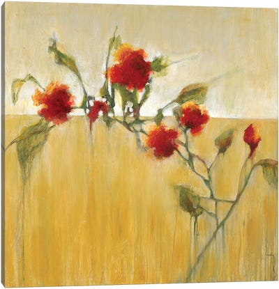 Hibiscus Blooms  Canvas Art Print - Terri Burris