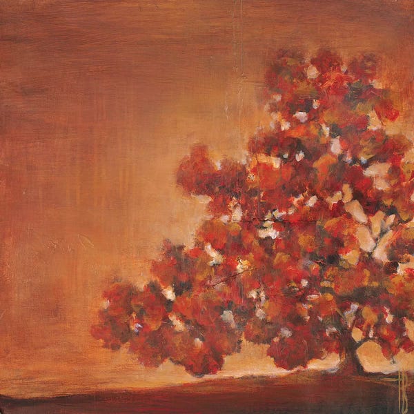 Oak Trees: Oak Glen by Terri Burris