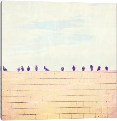 Birds on Wires III Canvas Art Print