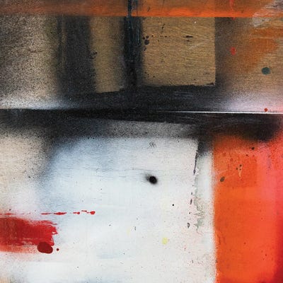 Curiousity by Tom Burbidge canvas print