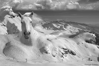 Thomas Barbey
