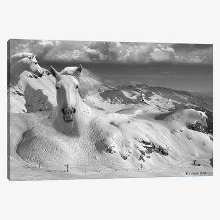 Icy Studs Canvas Print #TBY11} by Thomas Barbey Canvas Art