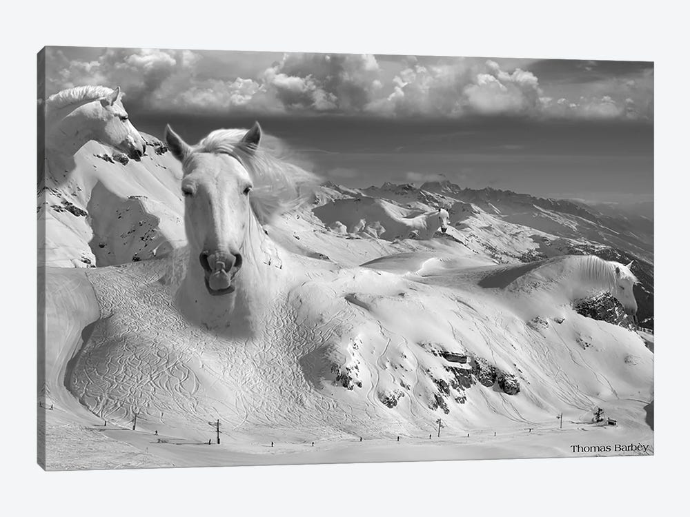 Icy Studs by Thomas Barbey 1-piece Canvas Art Print