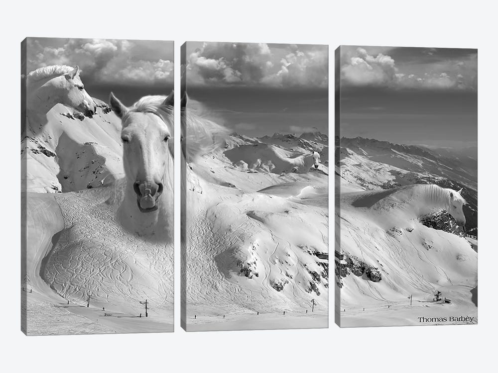 Icy Studs by Thomas Barbey 3-piece Canvas Print