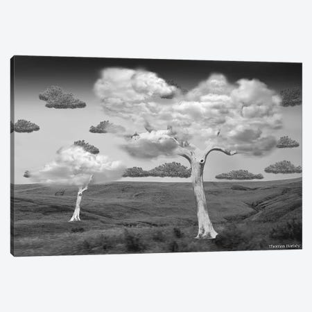 Natural Disorder Canvas Print #TBY13} by Thomas Barbey Canvas Artwork
