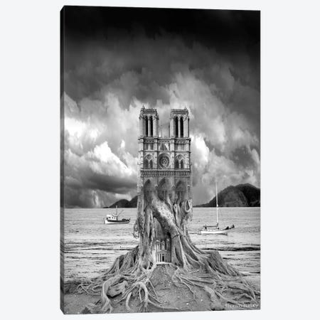 Stumped Canvas Print #TBY23} by Thomas Barbey Canvas Print