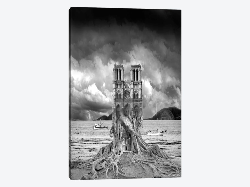 Stumped by Thomas Barbey 1-piece Canvas Artwork