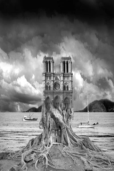 Castles & Palaces: Stumped by Thomas Barbey