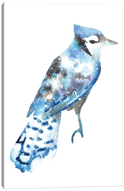 Cosmic Blue Jay Canvas Art Print - Jay Art