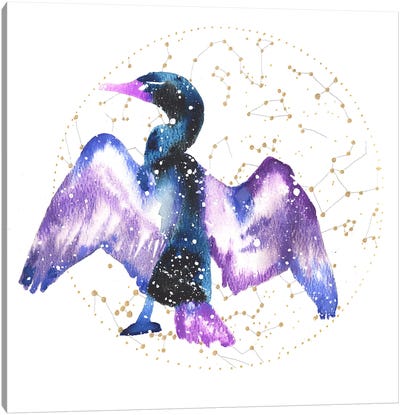 Cosmic Cormorant Canvas Art Print - Tanya Casteel