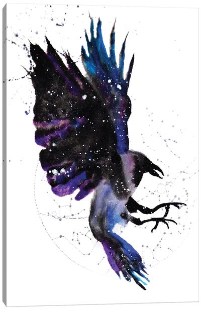 Cosmic Crow Canvas Art Print - Crow Art