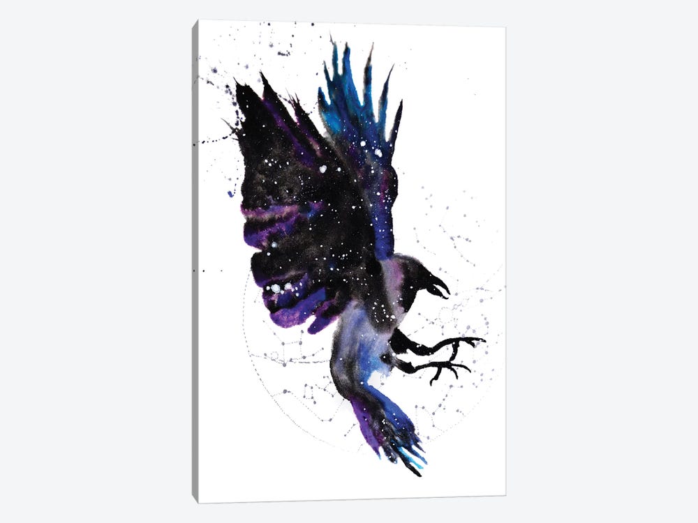 Cosmic Crow by Tanya Casteel 1-piece Canvas Wall Art