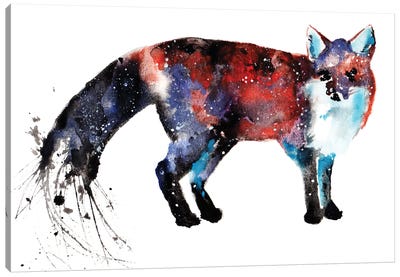 Cosmic Fox Canvas Art Print - Tanya Casteel