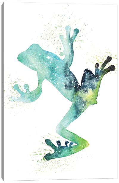 Cosmic Frog Canvas Art Print - Frog Art