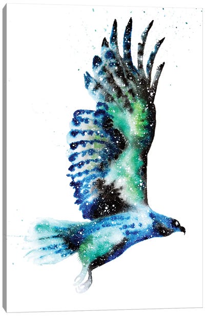Cosmic Hawk Canvas Art Print - Buzzard & Hawk Art