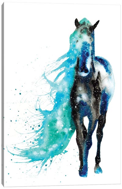 Cosmic Horse Canvas Art Print - Tanya Casteel