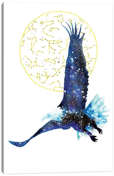 Cosmic Bald Eagle Canvas Art Print - Eagle Art