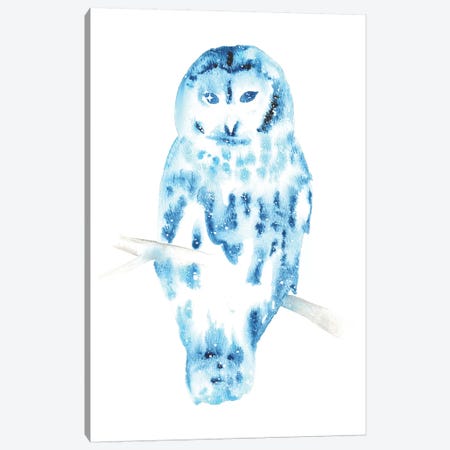 Cosmic Barred Owl Canvas Print #TCA4} by Tanya Casteel Canvas Wall Art