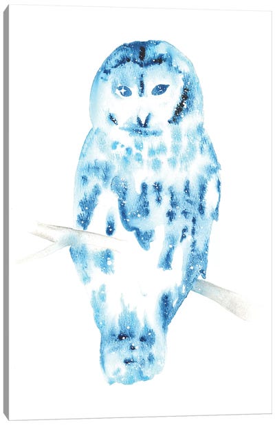 Cosmic Barred Owl Canvas Art Print - Tanya Casteel