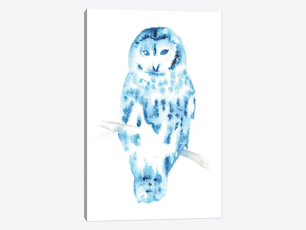Cosmic Barred Owl by Tanya Casteel 1-piece Canvas Art