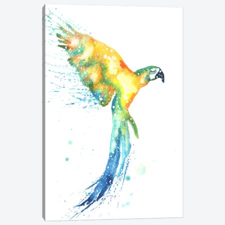 Cosmic Macaw Canvas Print #TCA50} by Tanya Casteel Canvas Art Print