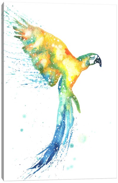 Cosmic Macaw Canvas Art Print - Tanya Casteel