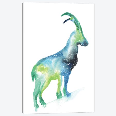 Cosmic Mountain Goat Canvas Print #TCA55} by Tanya Casteel Canvas Art