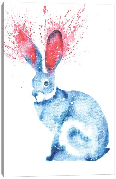Cosmic Rabbit Canvas Art Print - Tanya Casteel