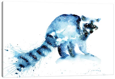 Cosmic Raccoon Canvas Art Print - Raccoon Art