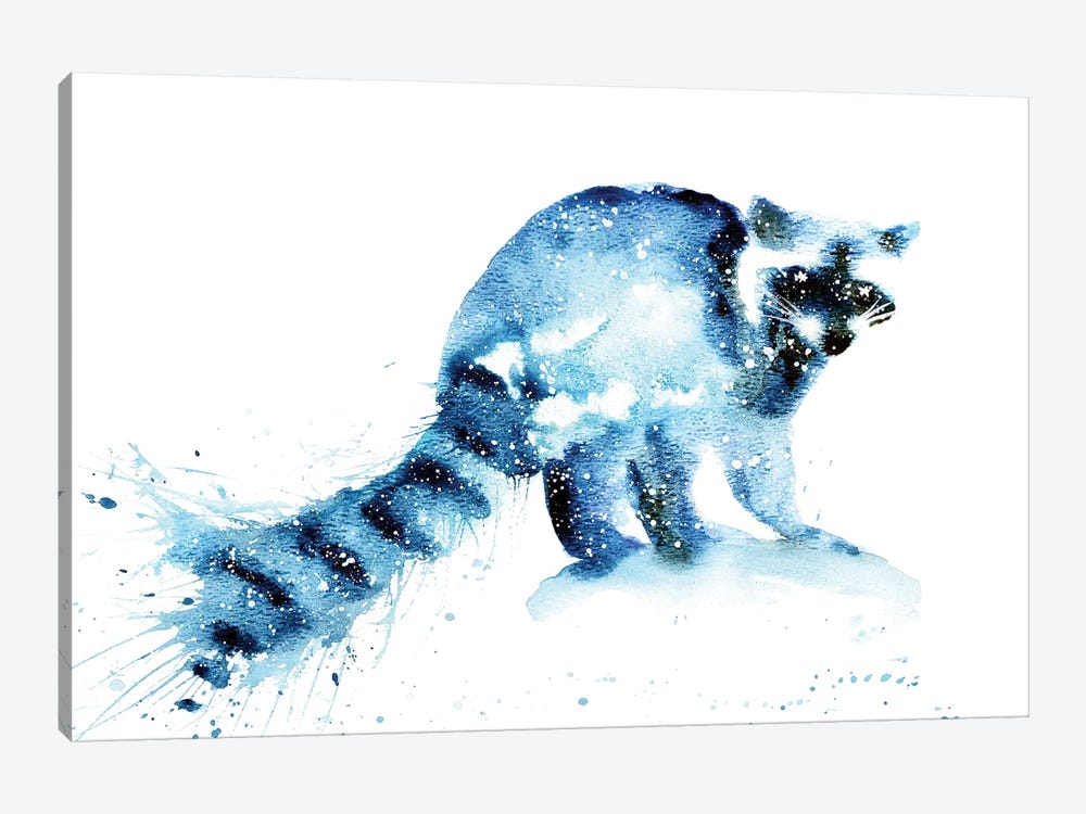 Cosmic Raccoon by Tanya Casteel 1-piece Canvas Artwork