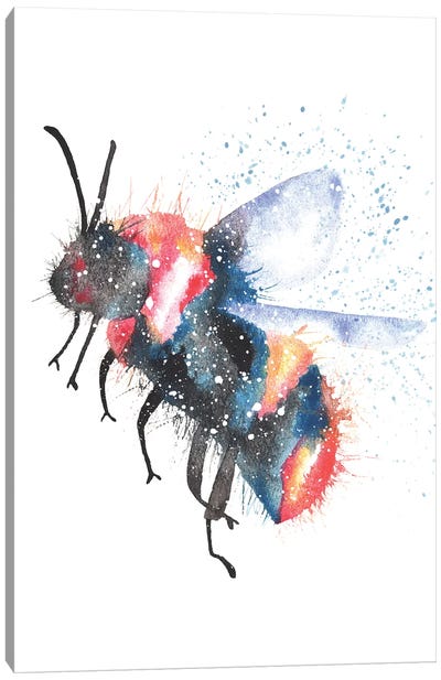 Cosmic Bee Canvas Art Print - Tanya Casteel