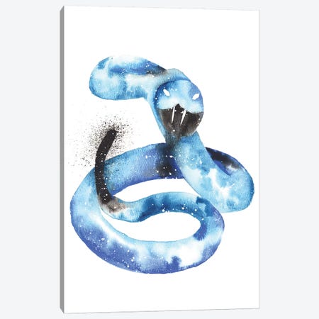 Cosmic Rattlesnake Canvas Print #TCA72} by Tanya Casteel Canvas Art Print