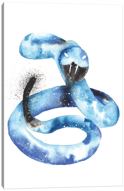 Cosmic Rattlesnake Canvas Art Print - Tanya Casteel