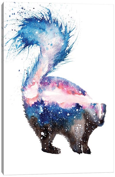 Cosmic Skunk Canvas Art Print - Skunk Art