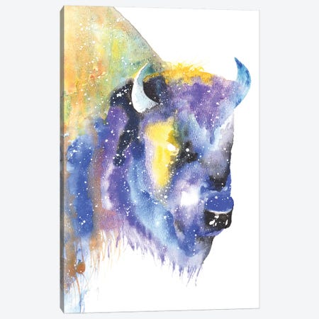 Cosmic Bison Canvas Print #TCA7} by Tanya Casteel Canvas Art