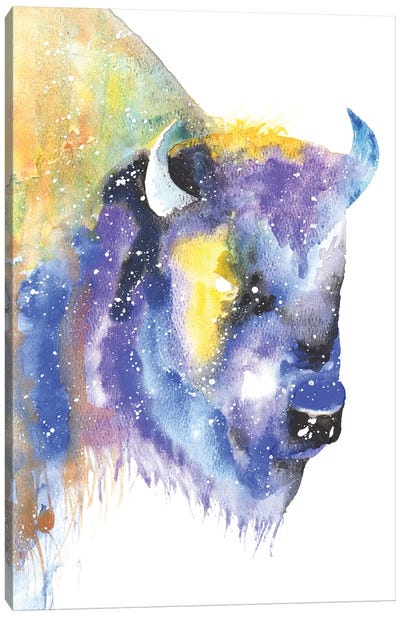 Cosmic Bison Canvas Art Print - Bison & Buffalo Art