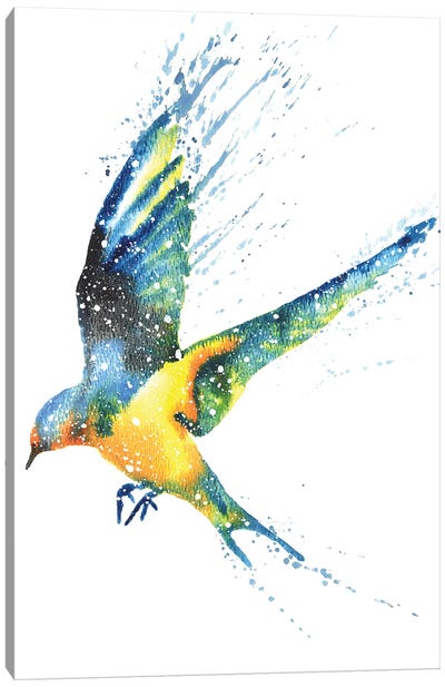 Cosmic Swallow Canvas Art Print - Tanya Casteel