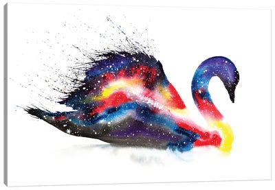 Cosmic Swan Canvas Art Print - Tanya Casteel