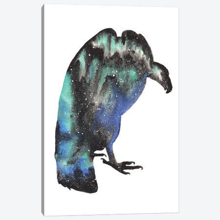 Cosmic Vulture Canvas Print #TCA86} by Tanya Casteel Canvas Print