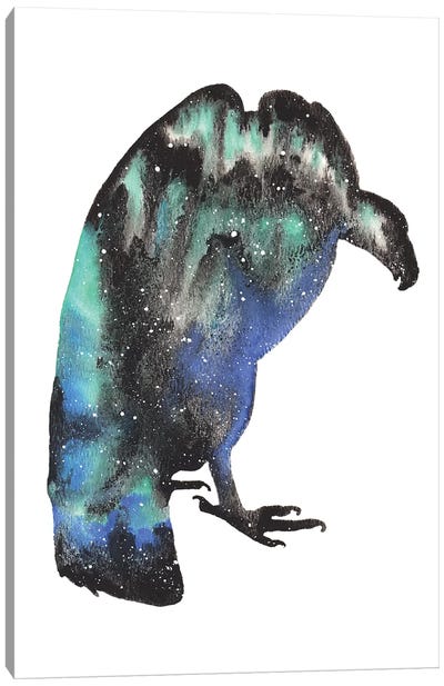 Cosmic Vulture Canvas Art Print - Vulture Art