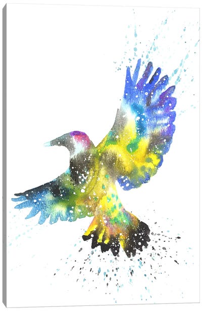 Cosmic Woodpecker Flicker Canvas Art Print - Woodpecker Art