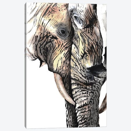 Elephants Canvas Print #TCA90} by Tanya Casteel Canvas Print