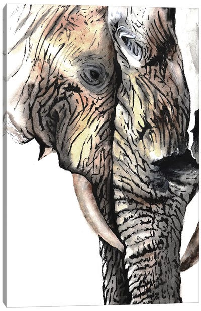 Elephants Canvas Art Print - Tanya Casteel