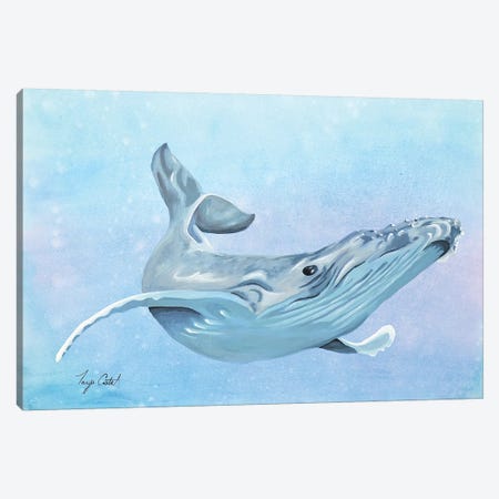 Humpback Whale Canvas Print #TCA91} by Tanya Casteel Canvas Art Print
