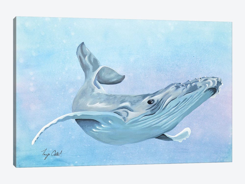 Humpback Whale by Tanya Casteel 1-piece Canvas Print
