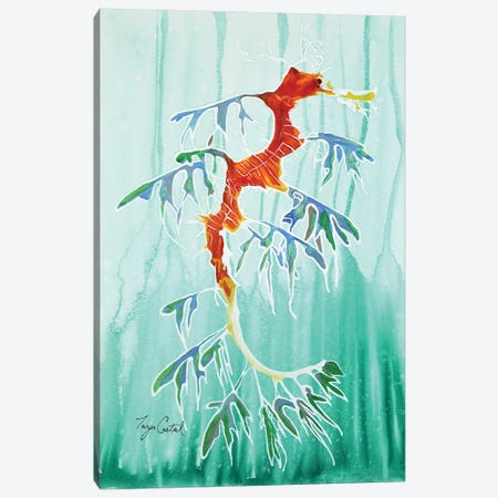 Leafy Sea Dragon Canvas Print #TCA92} by Tanya Casteel Canvas Art Print