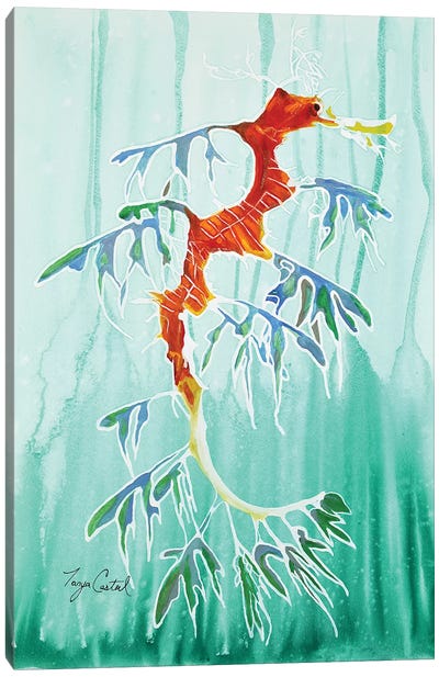 Leafy Sea Dragon Canvas Art Print - Tanya Casteel