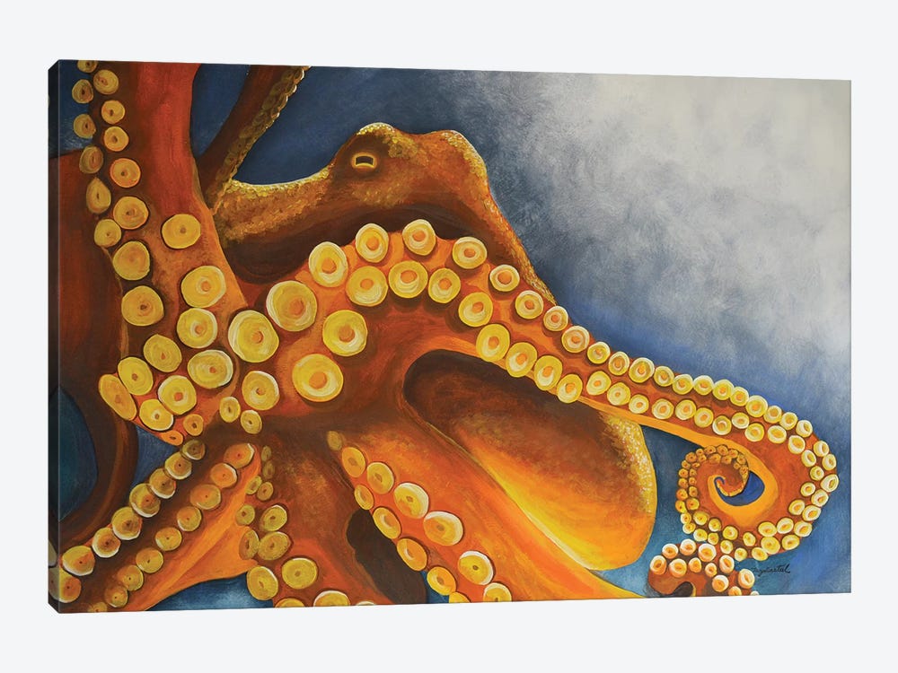Octopus by Tanya Casteel 1-piece Canvas Art